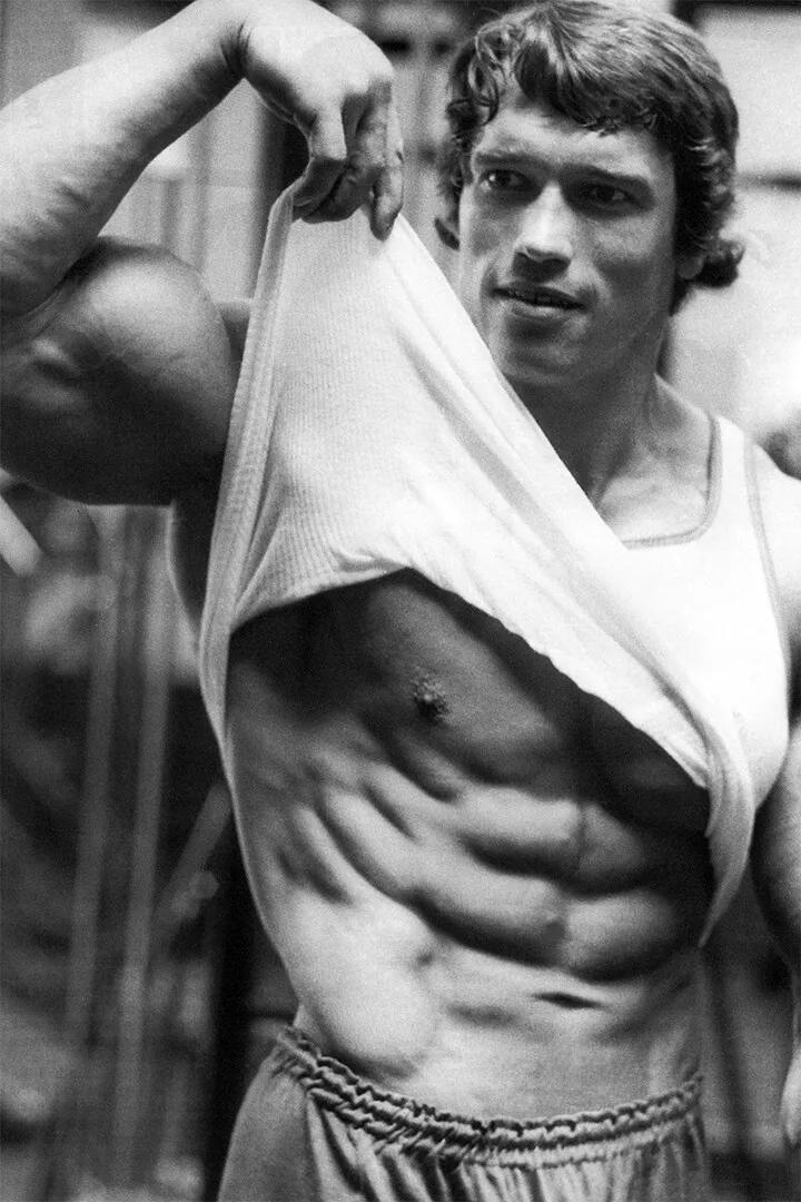 Citações Favoritas Motivaciona - Home Gym Quotes avaliação e preço
