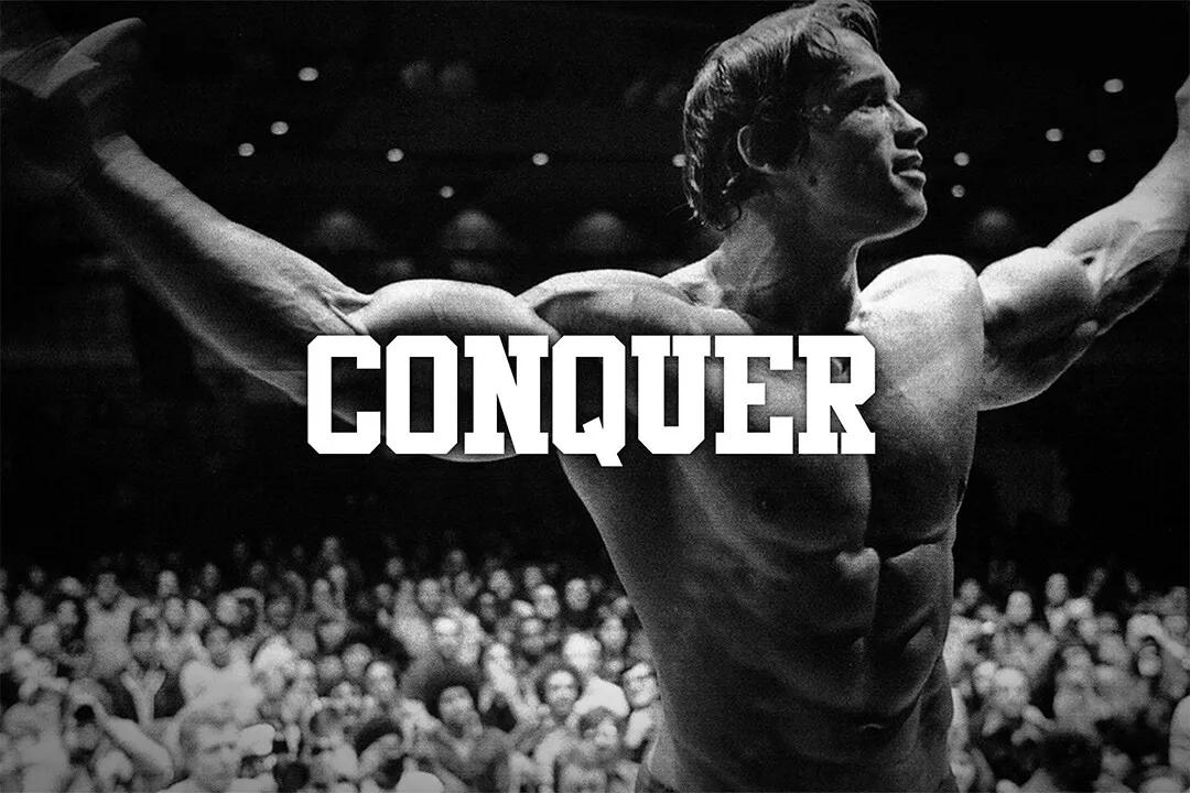 Citações Favoritas Motivaciona - Home Gym Quotes avaliação e preço