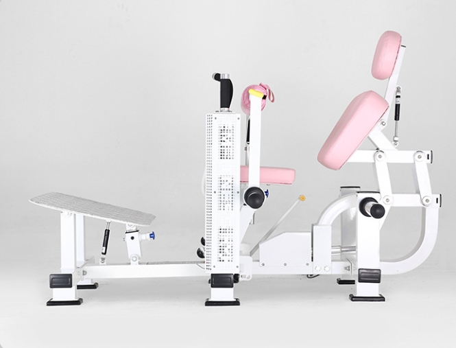Máquina de ponte de glúteo car - Home Gym Hip Thrust Machine avaliação e preço